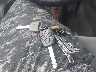 2HGFA1F5XAH****** Salvage 2010 Honda Civic in Massachusetts State