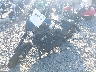 1HD1YJJ14LB****** Used and Repairable 2020 Harley-Davidson Street Bob in Atlanta North