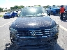3VV3B7AX3PM****** Destrozados 2023 Volkswagen Tiguan en Estado de Florida