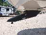 5SFSG4129GE****** Reparables 2016 Heartland RV Gateway, Greystone, North Trail FW, Sundance FW, Sundance XLT FW en Concord