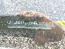 2HGFE2F5XNH****** Used 2022 Honda Civic