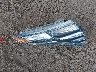 5NMJF3AE4PH****** Wrecked 2023 Hyundai Tucson in Arizona State