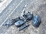 WP1AA2A51PL****** Wrecked 2023 Porsche Macan in Florida State