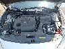 1N4AA6AV2KC****** Repairable 2019 Nissan Maxima in Sayreville