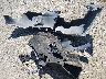 19XFB2F90CE****** Wrecked 2012 Honda Civic in Massachusetts State