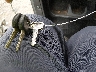 4XARRM99XM8****** Salvage 2021 Polaris Ranger in Louisiana State