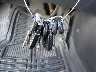 KMHDH4AE5FU****** Salvage 2015 Hyundai Elantra in Texas State