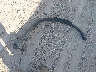 5FNYF9H52TB****** Wrecked 2026 Honda Passport in Texas State