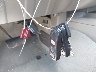 1N6AD0ER8GN****** Salvamento 2016 Nissan Frontier en Estado de Texas