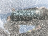 5N1DL0MN5JC****** Used 2018 Infiniti QX60 in Austin