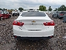 1G1ZD5ST7RF****** Destrozados 2024 Chevrolet Malibu
