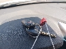 KMHTC6AD5CU****** Salvamento 2012 Hyundai Veloster en Estado de California