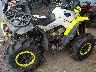 3JBMWAV24LJ****** Wrecked 2020 Can-Am Renegade in Minnesota State