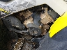 3JBMWAV24LJ****** Wrecked 2020 Can-Am Renegade in Rec Rides Online Exclusive