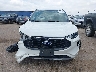 1FMCU0MN0PU****** Destrozados 2023 Ford Escape en Estado de Texas