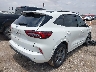 1FMCU0MN0PU****** Salvamento y Destrozados 2023 Ford Escape en Estado de Texas