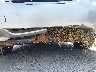 JTNBE46K073****** Salvage and Repairable 2007 Toyota Camry in Kentucky State