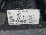 7SAYGDEE5SF****** Used 2025 Tesla Model Y in Long Island
