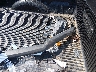 1FTEX1EPXLF****** Wrecked 2020 Ford F-150 in Louisiana State