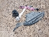 WA1L2AFP8HA****** Wrecked 2017 Audi Q5 in Texas State