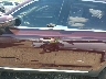 5XYP2DHC3NG****** Repairable 2022 Kia Telluride in Oklahoma State