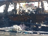 2HKRM3H3XEH****** Destrozados 2014 Honda CR-V