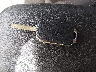 3KPF24AD5ME****** Salvage 2021 Kia Forte in Tennessee State