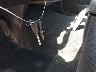 3GTU2UEC0EG****** Salvage 2014 GMC Sierra 1500 in Texas State