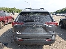 2T3P1RFV8NW****** Destrozados 2022 Toyota RAV4