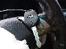 4S3BL676494****** Salvage 2009 Subaru Legacy in Colorado State