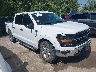 1FTFW3L84RK****** Salvage and Wrecked 2024 Ford F-150 in Kansas City