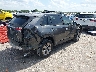 2T3W1RFVXPC****** Salvamento y Destrozados 2023 Toyota RAV4 en Estado de Texas