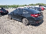 5NPE34AF6HH****** Salvage and Repairable 2017 Hyundai Sonata in Elkton