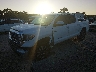5TFHY5F16KX****** Usados y Reparables 2019 Toyota Tundra en Louisville North