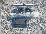 3VWCB7BU0KM****** Destrozados 2019 Volkswagen Jetta en Estado de Arkansas