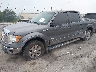 1FTFW1ET7BF****** Salvamento y Reparables 2011 Ford F-150 en Estado de Carolina del Norte