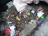MAJ6S3GL7LC****** Salvamento y Reparables 2020 Ford Ecosport en Estado de Nueva York