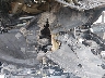 1GNSKHKC9KR****** Repairable 2019 Chevrolet Suburban in Fort Worth North