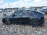 7SAYGDEF0PF****** Destrozados 2023 Tesla Model Y en Estado de Texas
