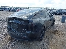 7SAYGDEF0PF****** Salvamento y Destrozados 2023 Tesla Model Y en Estado de Texas