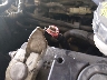 3FA6P0H74DR****** Salvamento y Reparables 2013 Ford Fusion en Estado de Tennessee