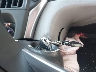 5NPD74LF8KH****** Salvage 2019 Hyundai Elantra in South Carolina State