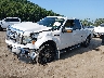 1FTFX1EV5AF****** Usados y Reparables 2010 Ford F-150 en Buckhannon