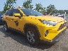 JTMRWRFV7KD****** Usados 2019 Toyota RAV4