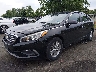 5NPE24AF5GH****** Used and Repairable 2016 Hyundai Sonata in Englishtown