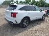 5XYRL4LC4PG****** Salvamento y Destrozados 2023 Kia Sorento en Estado de Ohio