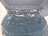 5XXG24J25MG****** Repairable 2021 Kia K5 in Indianapolis South