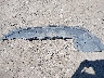 1C3CCBAB8CN****** Wrecked 2012 Chrysler 200 in Washington State