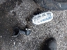 MLY1ZC411TS****** Salvage 2026 Harley-Davidson Sportster S in Florida State