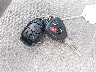 JTMBK4DV8B5****** Salvamento 2011 Toyota RAV4 en Estado de Colorado